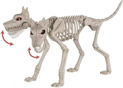 Home Halloween Creepy Scary Decoration Animated Two-Headed Dog Skeleton, 30" Seasonal Doberman Skeleton, Skeleton Dog Decoration, Head Skeleton, Inflatable Christmas Tree, Dog Skull, Anatomy Bones, Dog Skeleton, Scary Decorations, Halloween Creepy