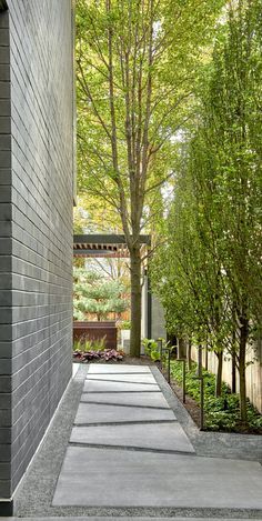 Zinc House, Drought Tolerant Landscape, Outdoor Gardens Design, Landscaping Design, House Landscape, Backyard Landscaping Designs, Backyard Design, Outdoor Design, Modern Garden