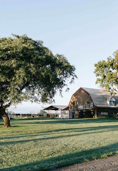 The barn at Summer Land Camel Farm is home to the milk and skincare manufacturing room as well as the office | Photography: Marnie Hawson Office Photography, Milk Products, Farm Lifestyle, Future Farms, Ranch Life, Farms Living, Dairy Farms, Horse Farms, Country Farm