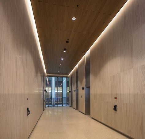 Gallery of Wood – Veneered Wood Topline® Ceiling & Wall Panels - 3 Wood Ceiling Panels, Wood Wall Tiles, Hallway Ceiling, Wooden Ceiling Design, Ceiling Cladding, Wooden Tiles, Beautiful Outdoor Living Spaces, Roof Ceiling, Lobby Interior Design