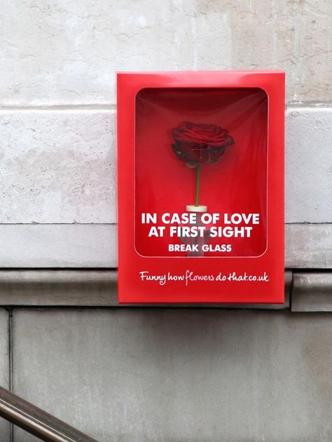 Flower Council of Holland: In case of love at first sight, break glass 광고 디자인, Publicidad Creativa, Guerilla Marketing, Naha, Creative Ads, Love At First, Creative Advertising, Design Thinking, Love At First Sight