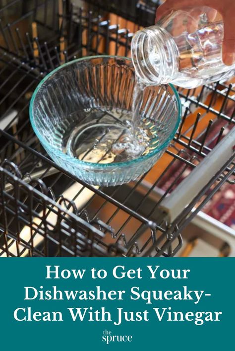 A dishwasher can become coated with grease and food particles that redeposit on the dishes. Learn how to clean a dishwasher with just vinegar. #vinegarcleaninghacks #cleanhouse #cleaningguide #cleaninghacks #cleaningtips #stepbystepcleaning #thespruce Deep Clean A Dishwasher, Diy Clean Dishwasher, Vinegar And Dish Soap Cleaner, How To Clean Dishwasher Filter, How To Clean A Smelly Dishwasher, Cleaning Dishwasher Vinegar Baking Soda, Dishwasher Cleaning Vinegar, Clean Dishwasher Vinegar Baking Soda, Smelly Dishwasher Cleaning