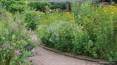 Pocket Prairie, Wildlife Garden Design, Prairie Plants, Best Plants For Shade, Bee Friendly Plants, Prairie Planting, Shade Garden Plants, Prairie Garden, Wildlife Garden