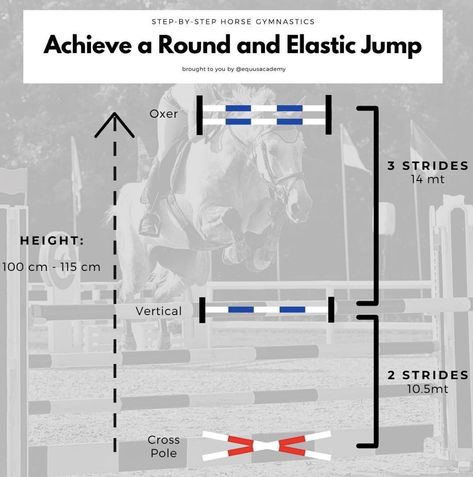 Horse Riding Exercises Flatwork, Obstacles For Horses, Riding Lesson Plans, Jumping Courses, Horse Jumping Exercises, Pole Exercises, Dressage Tests, Jumping Exercises, Dressage Exercises