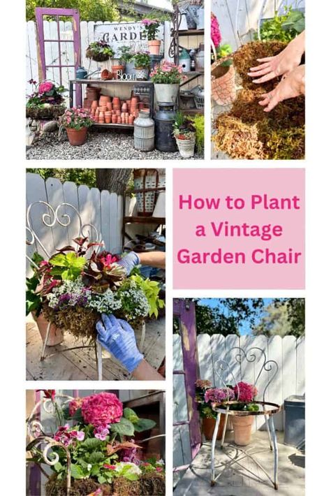 Succulent Chair, Hydrangea Planters, Garden Clocks, Chair Planter, Upcycle Vintage, Planter Project, Chic Chair, Eco Friendly Garden, Succulent Garden Diy