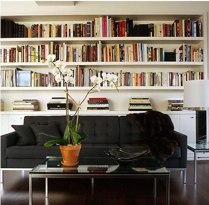 bookshelves -might look good on the the basement's back wall Wall Mounted Shelves Behind Couch, Book Shelf Behind Sofa, Couch With Shelf Above, Sofa With Shelves Above, Long Shelves Above Couch, Shelving Over Couch, Library Above Sofa, Book Shelf Behind Couch, Shelf Above Sofa Living Rooms