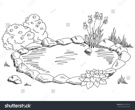 Pond Coloring Pages, Pond Drawing, Turtle Coloring Pages, Garden Drawing, Landscape Sketch, Art Tumblr, Black And White Landscape, Landscape Drawings, Drawing Images