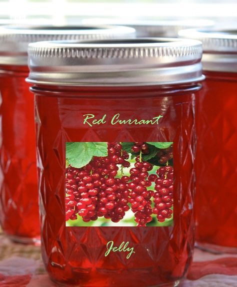 Red Currant Jelly | Cooking Mamas Currant Jelly Recipe, Red Currant Jelly Recipe, Red Currant Jelly, Currant Recipes, Currant Jelly, Roast Lamb, Savory Dishes, Lamb Roast, Jam And Jelly