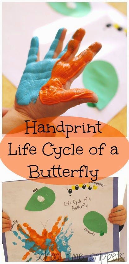 Life Cycles Kindergarten, Butterfly Crafts Preschool, Life Cycles Preschool, Butterfly Life Cycle Activity, Butterfly Life Cycle Craft, Handprint Butterfly, Butterfly Lessons, Insect Life Cycle, Life Cycle Of A Butterfly