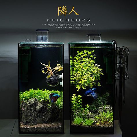 Mini Aquarium Design, Aquarium Interior Design, Zen Aquarium, Aquarium Interior, Aqua Terrarium, Best Aquarium Fish, Aquarium Mini, Biotope Aquarium, Water Ideas