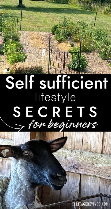 Fenced in garden with a picture of a sheep below and text "self sufficient lifestyle secrets for beginners" Living Self Sufficient, How To Become Self Sufficient, Living Off The Land Self Sufficient, Self Reliant Living, How To Be Self Sufficient, Self Sufficient Living, Pioneer Living, Suburban Homestead, Preparedness Ideas