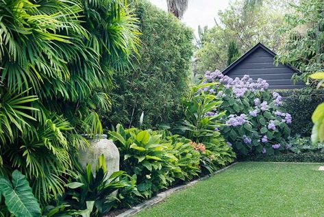 Garden Australia, Sydney Gardens, Tropical Garden Design, Backyard Vegetable Gardens, Small Backyard Gardens, Home Landscaping, Backyard Garden Design, Beautiful Backyards, Small Garden Design