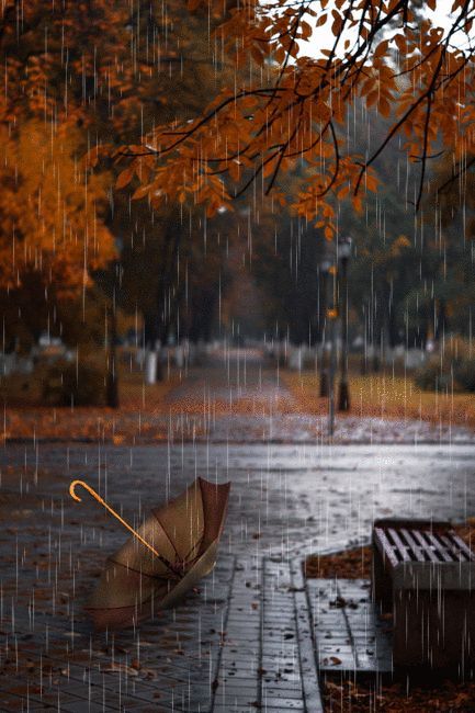 Rainy Day Pictures, Rainy Day Photography, Rainy Wallpaper, Rain Gif, Rain Pictures, I Love Rain, Rain Wallpapers, Autumn Rain, Love Rain