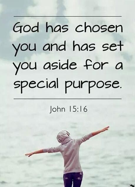 Chosen by God Chosen By God, John 15 16, Catholic Quotes, Christian Quotes Inspirational, Religious Quotes, Verse Quotes, Bible Verses Quotes, Holy Bible, Quotes About God