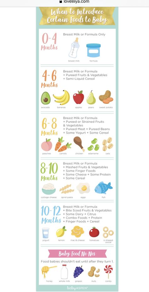 6 Month Puree Schedule, 4 Month Old First Food, Puree Schedule, How Much Baby Eats, Puree Ideas For Babies, Baby Food Starter Guide, 1st Foods For Baby, Baby Led Weaning Chart, 4 Month Old Food Ideas