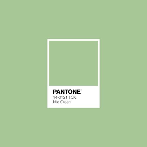 Discover Inspirational Pantone Color Palette · Lab 76,55 ‑16,89 19,60 · sRGB 167 199 150 · HEX A7C796 · Pantone · FHI Cotton TCX · PANTONE 14-0121 TCX Nile Green Green Monochrome, Color Library, Pantone Swatches, Pistachio Color, Brand Palette, Fashion Textiles, Pantone Colour Palettes, Aesthetic Color, Spring Color Palette