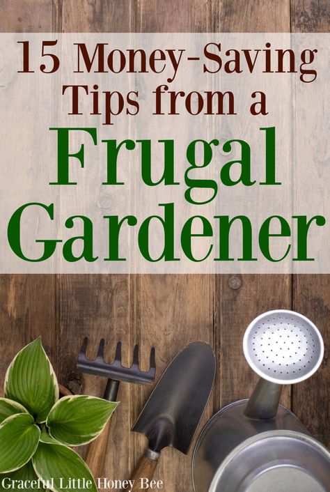 Check out these money-saving tips from a frugal gardener on gracefullittlehoneybee.com Permaculture, Frugal Living Tips, Frugal Gardening, Frugal Tips, Grow Your Own Food, Gardening Tools, Veggie Garden, Growing Food, Gardening For Kids