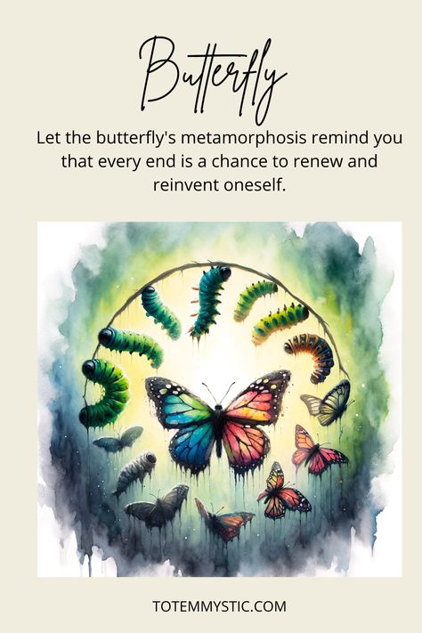 Butterflies signify transformation, hope, and renewal. If you're undergoing change, the butterfly spirit can guide and inspire you. #spirit animal #spiritual meaning #totem #power animal Butterfly Spirit Animal Meaning, Butterfly Spirit Animal, Butterfly Symbolism, Butterfly Metamorphosis, Totem Animals, Animal Butterfly, Irish Folklore, Spiritual Animal, Animal Spirit Guides