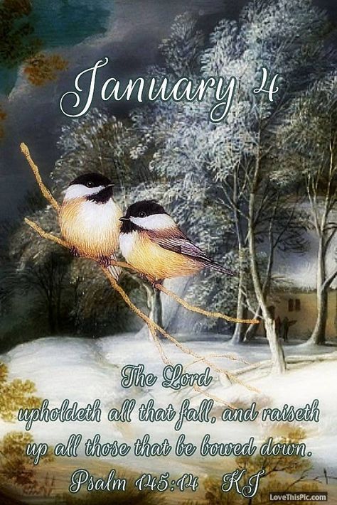 January Images, Prayer Cards Printable, New Years Prayer, January Quotes, January Calendar, Monday Blessings, Rejoice And Be Glad, Good Morning God Quotes, Blessed Quotes