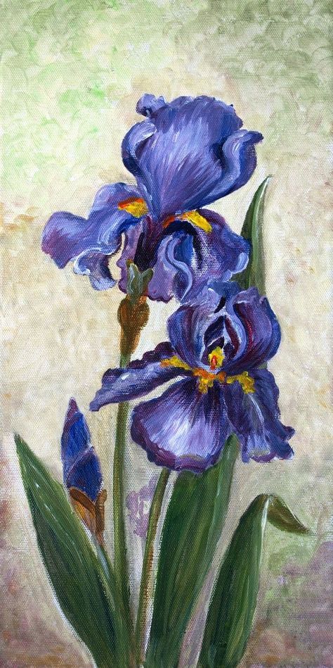 Simple Oil Painting, Flowers Oil Painting, Iris Painting, Oil Painting Inspiration, Oil Painting Techniques, Iris Flower, Easy Canvas Painting, Painting Subjects, Acrylic Painting For Beginners