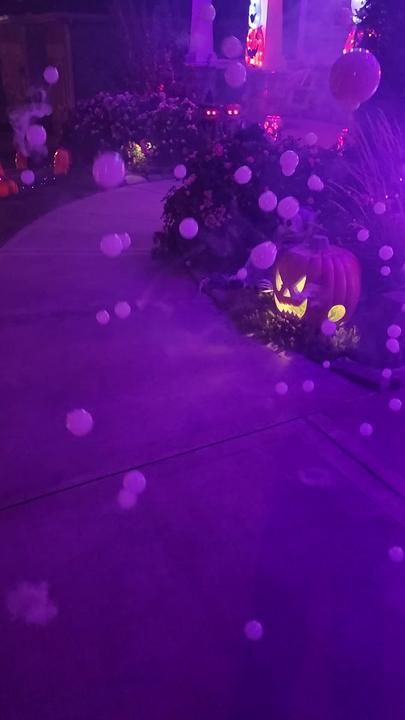 FOG BUBBLES!! These have been a big hit with kids and adults alike who've visited our display this year! #halloweenmagic #thisishalloween #halloween #fyp #FlexEveryAngle #bubbles #fog #fogbubbles Fog Machine Party, Halloween Fog Machine Ideas, Fog Bubbles, Halloween Party Fog Machine, Twilight Halloween, Purple Light Halloween Decor, Halloween Dance, Party Prep, Fog Machine