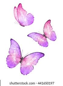 Baby Boy Art, Watercolor Pencil Art, Watercolor Butterflies, Butterfly Art Painting, Pastel Butterflies, Butterfly Printable, Butterfly Nail Art, Animal Print Wallpaper, Relaxing Art