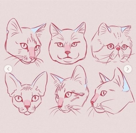 Cat drawing reference Big cat drawing reference  by AMEZURE Noses Sketch, Cat Nose Drawing, Big Cat Drawing, Cat Nose, Nose Drawing, Cat Sketch, Book Illustration Art, Cute Animal Drawings Kawaii, Best Tattoo Designs