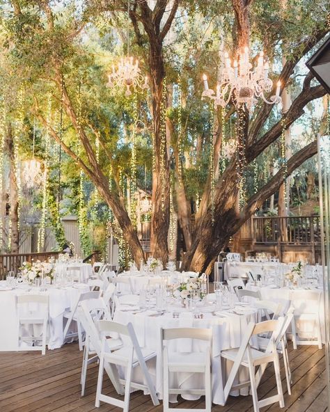 The magic that Calamigos Ranch brings to its space is like no other place I have seen. They know how to cover every inch of their space in magic! Here is the dreamy backdrop in the birchwood room's reception space that brings the intimate dining area to life. It's just dances with elegance and sparkle. Calamigos Ranch truly does rustic luxury in the best way. Dreamy Backdrop, Calamigos Ranch Wedding, Calamigos Ranch, Rustic Luxury, Bright Wedding, Ranch Wedding, Wedding Mood, Just Dance, Dining Area