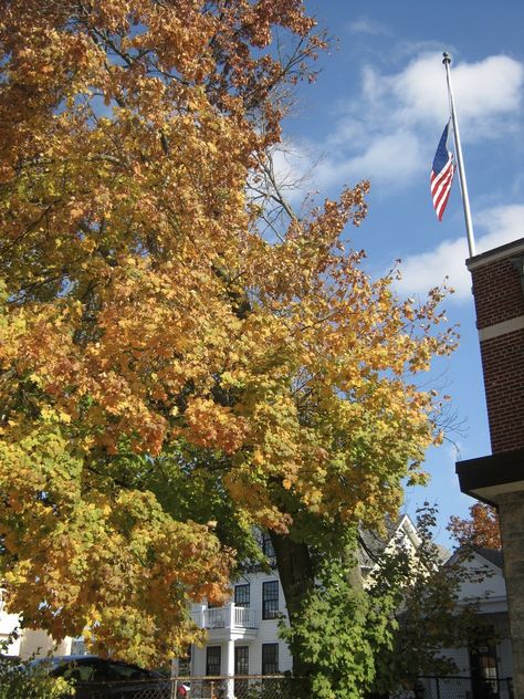 the brightest fall colors appear right at the end of the season :) photograph taken in early november.

#fall #eastcoast #autumn #aesthetic #photography #autumnleaves #orange Autumn Aesthetic Photography, East Coast Fall, Autumn Aesthetic, Aesthetic Photography, East Coast, Autumn Leaves, Fall Colors, The End, Orange