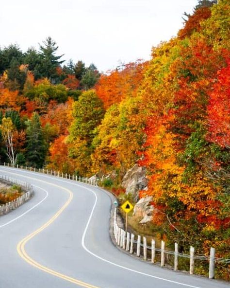 Fall Foliage in New England-where is the best color? – Travels With The Crew Kancamagus Highway, Tulum Travel Guide, White Mountain National Forest, Tulum Travel, Spring In New York, New England Road Trip, Small Town America, The Berkshires, New England Fall