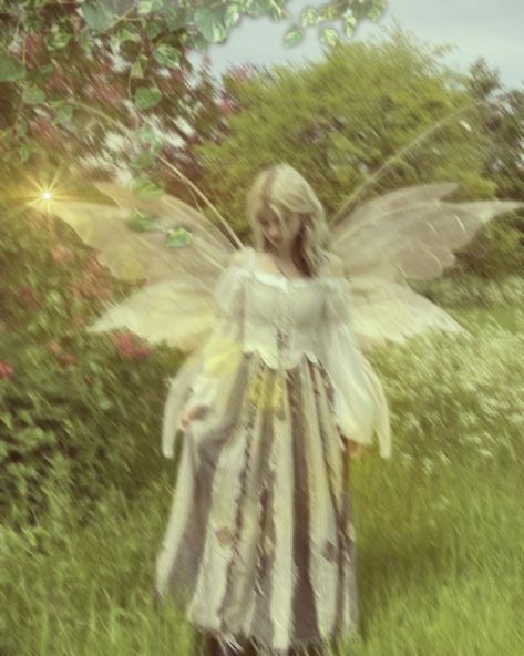 Fairy Core Bedroom, Faerie Core, Fairy Core Aesthetic, Faerie Aesthetic, Fae Aesthetic, Earth Fairy, Light Fairy, Fairytale Aesthetic, Types Of Fairies