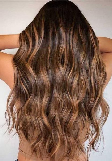 Balayage Straight, Winter Hair Colors, Rambut Brunette, Honey Brown Hair, Gorgeous Hair Color, Hair Color Light Brown, Brown Hair Balayage, Highlights Brown Hair, Hair Color Highlights