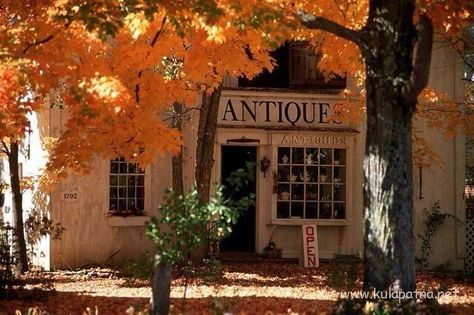 Small Town America, Southern Life, Purple Home, Antique Store, Season Of The Witch, Fabulous Fall, Indian Summer, Autumn Cozy, Antique Stores