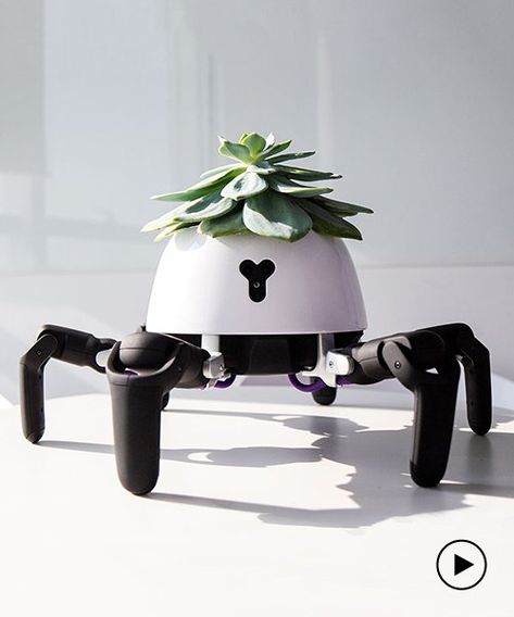 HEXA the six-legged robot plant chases the sun to look after its succulent Ffg Star Wars, Penthouse Decor, Chasing The Sun, Medical Design, Robot Design, Robot Concept Art, Nature Garden, Futuristic Technology, Machine Design