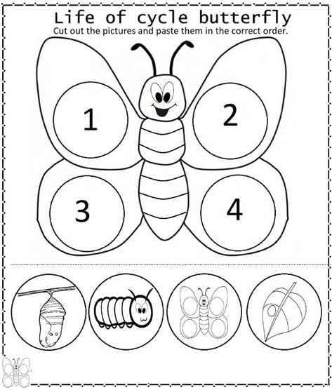 Lifecycle Of A Butterfly Preschool, Life Cycle Of A Butterfly Toddlers, The Very Hungry Caterpillar Life Cycle, Cycle Of Butterfly Preschool, Preschool Life Cycle Of A Butterfly, Butterfly For Preschoolers, Life Cycle Of A Caterpillar, Caterpillar Butterfly Preschool, Butterfly Lifecycle Preschool