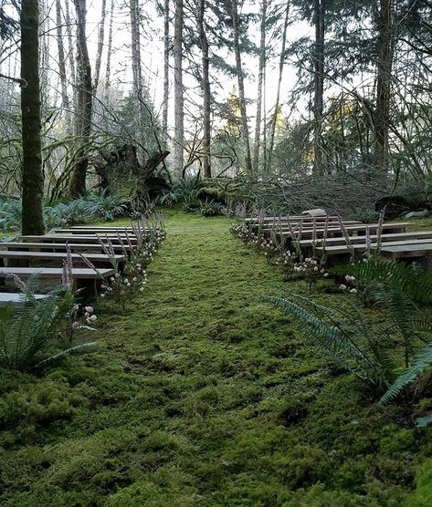 My grandmas wedding venue in Forks🌿 Forks Washington, Cool Tents, Fairy Tale Wedding, Autumn Wedding, Outdoor Wedding Venues, Forest Wedding, Just Run, Forks, Fern