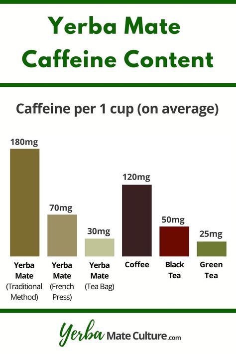 Yerba mate tea is a refreshing and energizing drink with relatively high caffeine content. Learn how much caffeine is in mate tea compared to coffee, green tea, and black tea. Yerba Mate Recipes, Medicinal Drinks, Mate Recipes, Green Tea Vs Coffee, Tea Caffeine Levels, Yerba Mate Benefits, Black Tea Recipe, Green Tea Benefits Health, Mate Drink