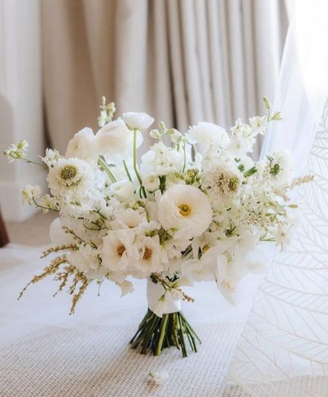 All White Fall Wedding Bouquet, Feb Wedding Flowers, Bride Small Bouquets, White Natural Wedding Bouquet, Wedding Day Bouquet, White Flower Boquettes, White Champagne Wedding Flowers, Wispy Wedding Bouquet, Simple Bride Bouquet Summer