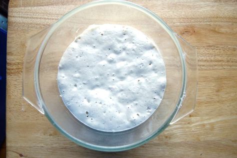 Adding sourdough to a recipe/replacing dry yeast with sourdough in a recipe | King Arthur Flour English Muffin Toasting Bread, Sourdough Basics, Recipes With Yeast, King Author, Bake Bread, Sourdough Starter Recipe, King Food, King Arthur Flour, Bread Making