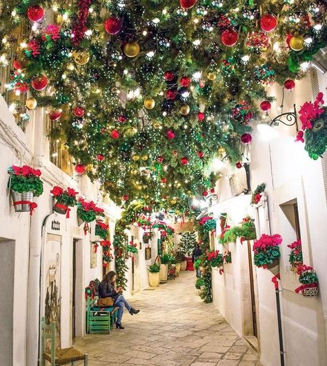 Christmas Lights House, Christmas Shop Displays, Seeking Lavender Lane, Tall Christmas Trees, Christmas In Italy, European Christmas, Decorating For Christmas, Nativity Scenes, Large Christmas Tree