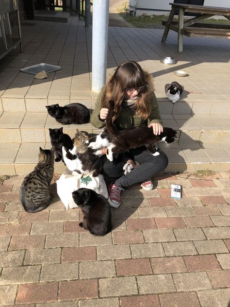 Awwwww on Twitter: "Tashirojima Island in Japan. Known as Cat Island. My wife is in heaven… " Cat Island Japan Aesthetic, Crazy Cat Lady Aesthetic, Person Petting Cat, Cat Lady Aesthetic, Cat Island Japan, Cat In Japan, Cats In Japan, Traveling With Cats, Cats Japan