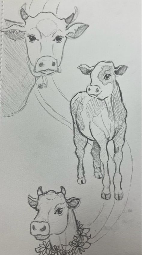 Cow Sketch, Cow Drawing, Animal Drawings Sketches, Shark Art, Sisters Art, Cow Painting, Cow Art, Arte Animal, Animal Posters