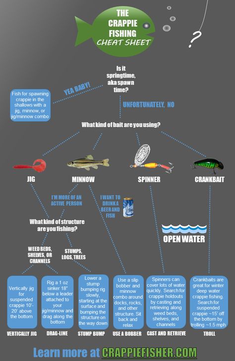 The Crappie Fishing CHEAT SHEET!                                                                                                                                                                                 More Fishing Tricks, Crappie Fishing Tips, Fishing Tips And Tricks, Trout Fishing Tips, Fishing Hacks, Wood Poster, Fly Fishing Tips, Bass Fishing Tips, Crappie Fishing