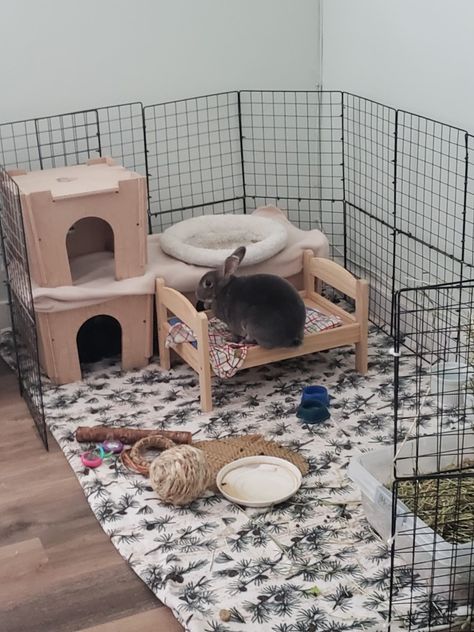 It's 3 ft by 5 ft area using wire cube storage grids and zip ties. Bunnies love fleece blankets, so I used 2 and half yards of fleece to cover a small area rug. Rabbit Dig Box Ideas, Bunny Enclosure, Wire Cube Storage, Bunny Setup, Bunny Things, 2 Bunnies, Puppy Pens, Pet Rabbits, Rabbit Litter Box