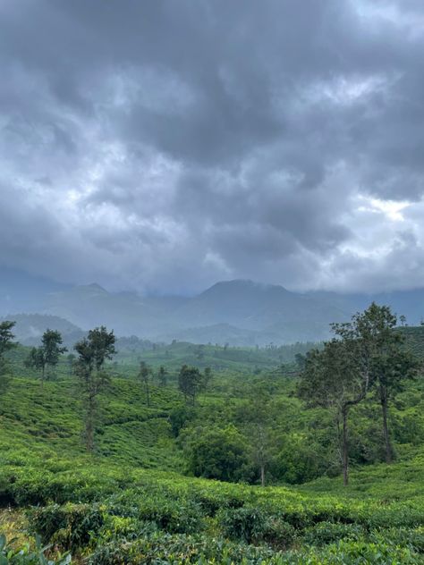 #wayanad #trip #nature #beautifulgardenideas Wayanad Churam, Kerala Mountains, Wayanad Photography, Mountain Poses, Travel Template, Mountain Pose, Nature Instagram, Instagram Snap, Scenery Nature