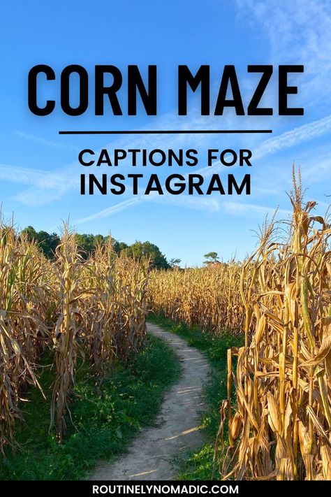 Corn with corn maze captions for Instagram Corn Maze Instagram Captions, Corn Maze Captions For Instagram, Corn Maze Pictures, Haunted Corn Maze, Haunted Maze, Cute Captions, Clever Captions, Fall Mood Board, Quotes For Instagram