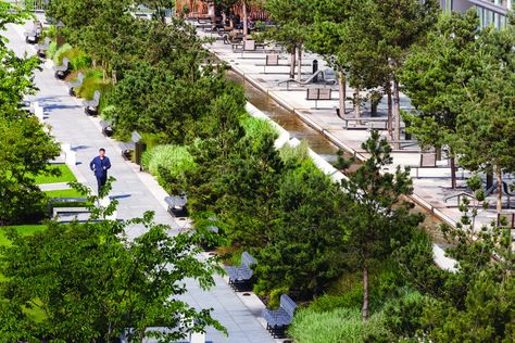 Public Spaces, Urban Furniture, Streetscape Design, Linear Park, Urban Landscape Design, Landscape Architecture Design, Urban Park, City Park, Urban Spaces