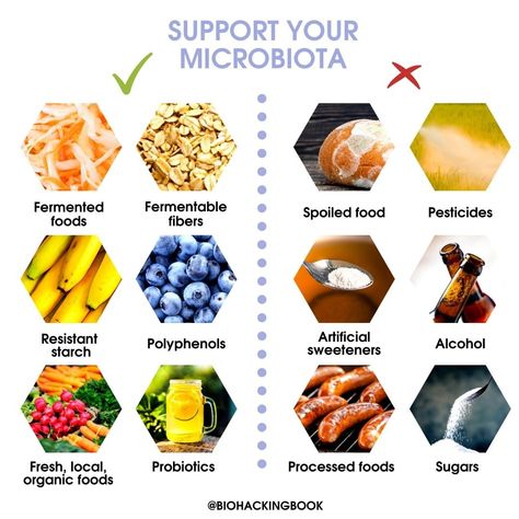 Biohacker's Handbook on Instagram: “Microbiota refers to the colonies of symbiotic, commensal, and pathogenic micro-organisms. These colonies exist, for example, on the skin's…” Micro Biome, Micro Organisms, Best Vegetables, Hat Patterns To Sew, Health Breakfast, Hat Patterns, Biome, Processed Food, Organic Recipes