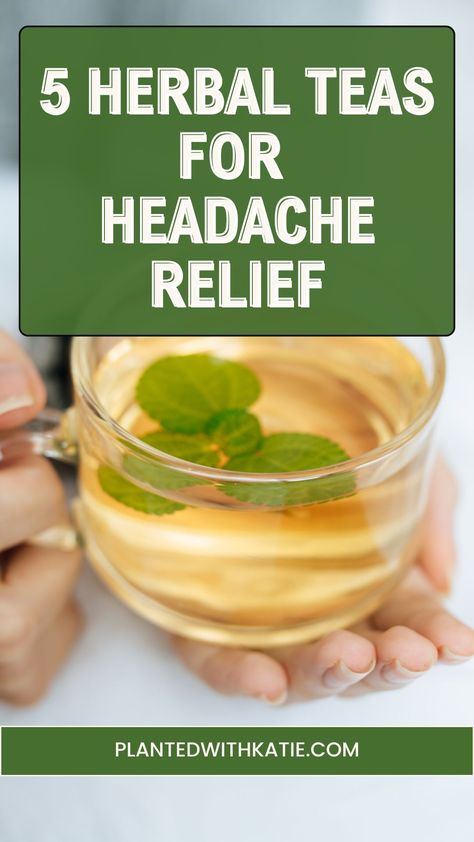 natural back pain relief remedies Best Tea For Headaches, Headache Relief Tea, Herbal Headache Relief, Headache Remedies Natural, Herbal Tea For Headaches, Natural Headache Relief Migraine, Headache Relief Remedies, Natural Headache Reliever, Headache Tips