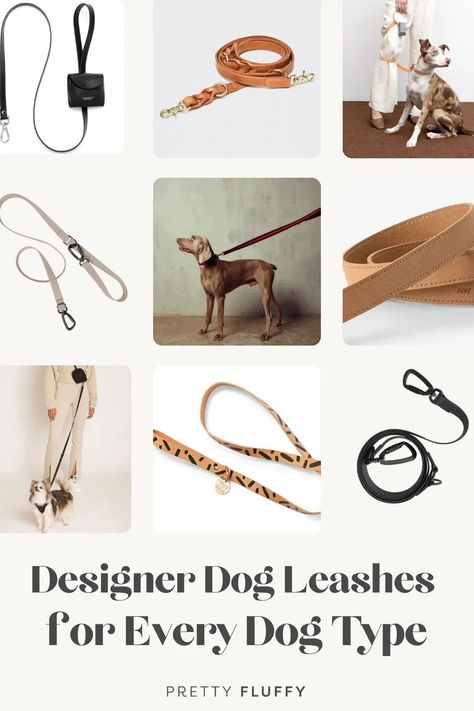 See our top picks of designer dog leashes for all breeds and sizes. Includes leather, fabric, rope and convertible dog leads and accessories. #dogleashes #bestdoglead #stylishdogs Luxury Dog Accessories, Dog Lifestyle, Fabric Rope, Dog Leashes, Designer Dog, Modern Dog, Types Of Dogs, Dog Lead, Luxury Dog